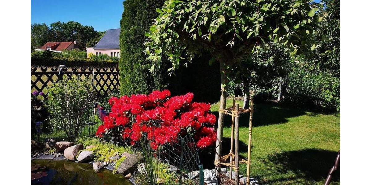 Grundstück Cottbus Kiekebusch - 89.000&euro; | Angebot:25686586