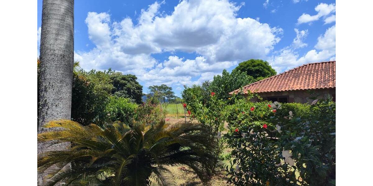 Einfamilienhaus Cottbus Spremberger Vorstadt - 350.000&euro; | Angebot:25223547