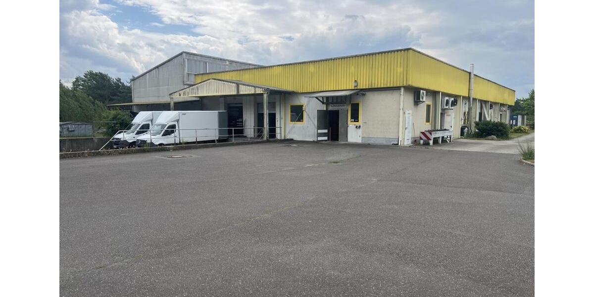 Warmhalle mit 8 Kühlzellen in Cottbus Merzdorf provisionsfrei zu zimmer