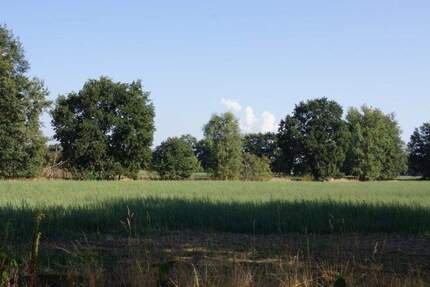 Neue Baugrundstücke in der Waldparksiedlung Gallinchen zimmer