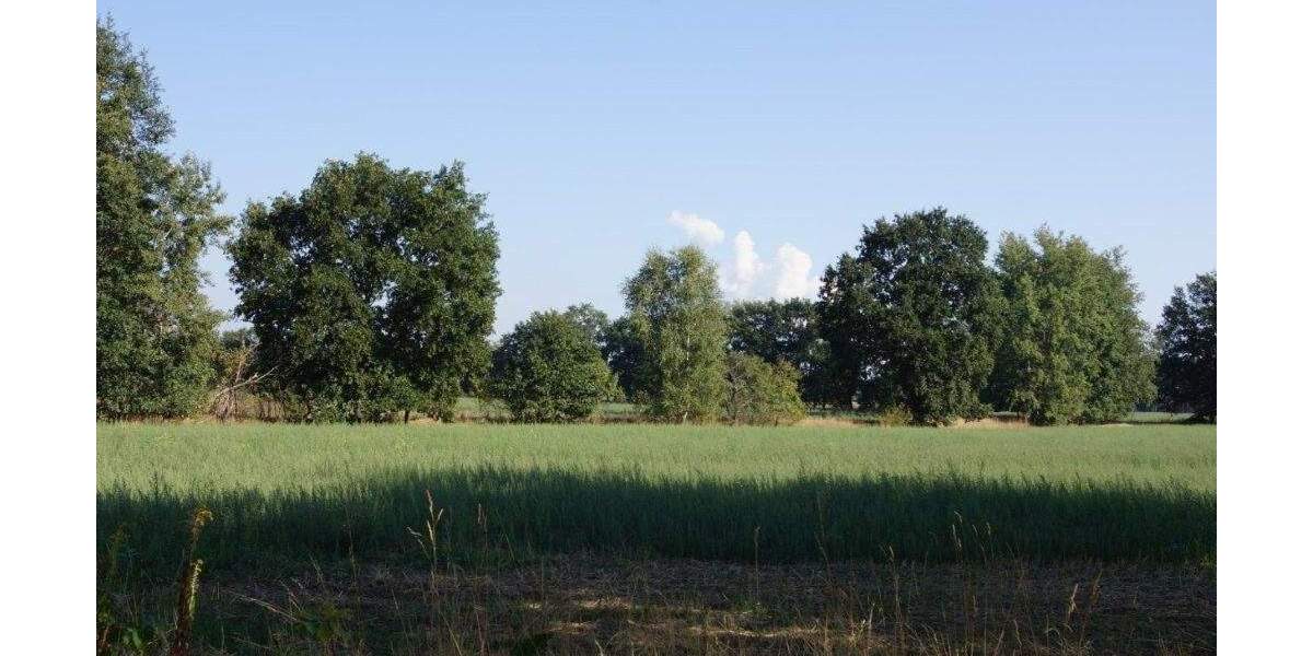 Neue Baugrundstücke in der Waldparksiedlung Gallinchen zimmer