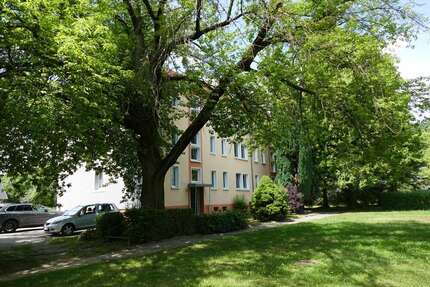 Wohnung Groß Döbbern - 4 Zimmer, 69 m&sup2;, 450&euro; | Angebot:26461735