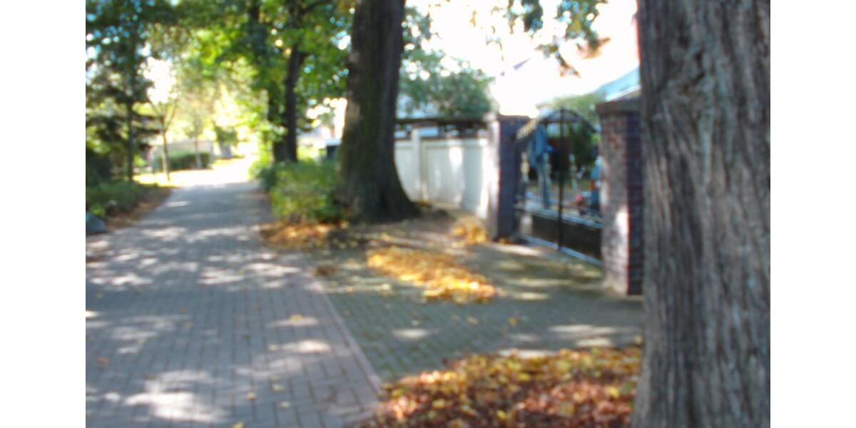 Etagenwohnung Altdöbern - 3 Zimmer, 100 m&sup2;, 700&euro; | Angebot:24705114