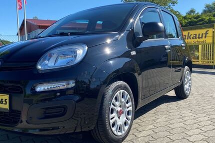 Fiat Panda 30.349 km 8.990 &euro; Cottbus/ Groß Gaglow 03051