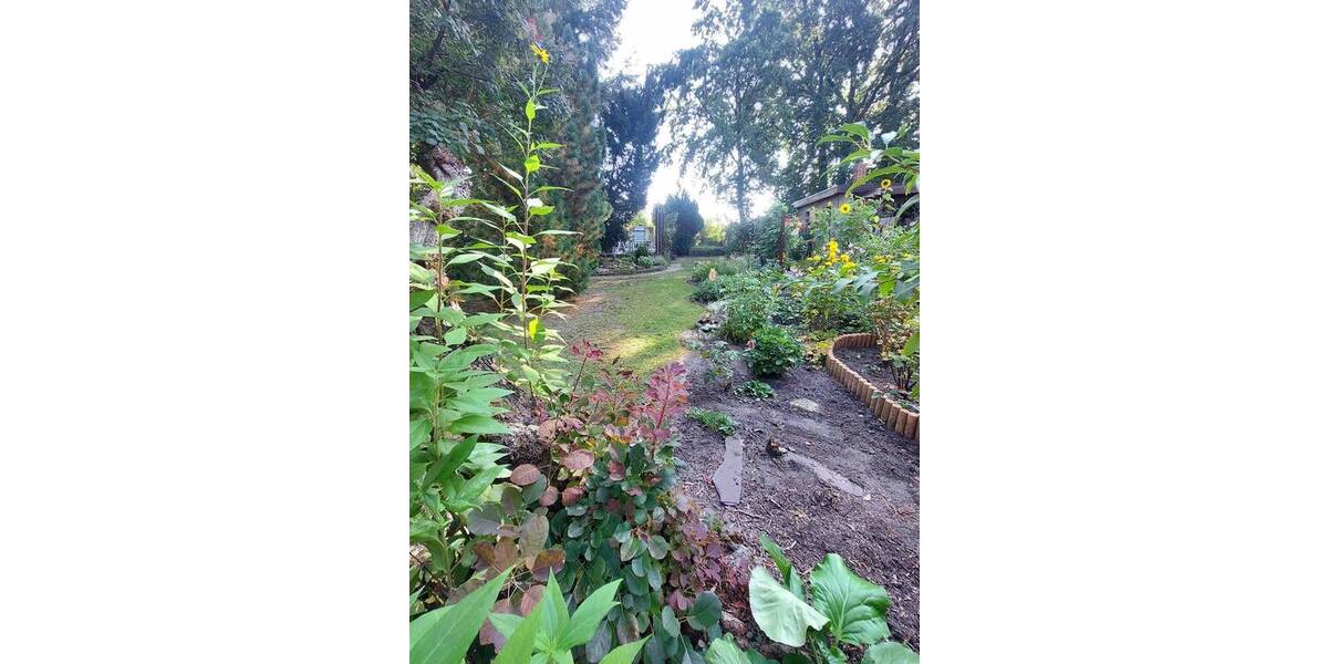 Mehrfamilienhaus, Wohnhaus Cottbus Ströbitz - 2 Zimmer, 23 m&sup2;, 24.900&euro; | Angebot:22617349