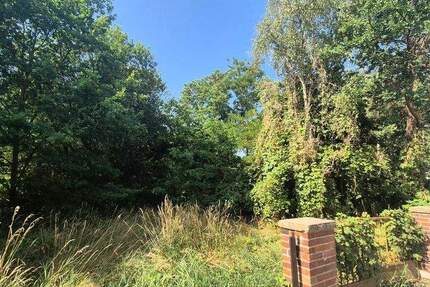 Grundstück Forst (Lausitz) Forst-Stadt - 12.350&euro; | Angebot:25727052