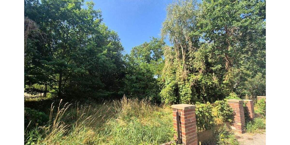 Grundstück Forst (Lausitz) Forst-Stadt - 12.350&euro; | Angebot:25727052