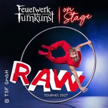 Feuerwerk der Turnkunst - on stage 2027 09.03.2027 Stadthalle Cottbus
