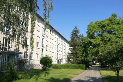 Wohnung Cottbus Spremberger Vorstadt - 3 Zimmer, 62 m&sup2;, 430&euro; | Angebot:26877891