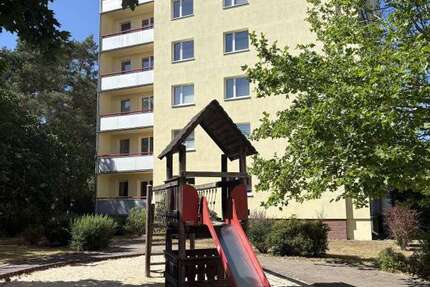 Wohnung zum Mieten in Cottbus 470 € 76.7 m² 3 zimmer