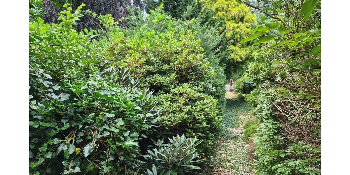 !!! Gebotsverfahren !!! Ehemaliger Schaugarten einer Baumschule möchte wiederbelebt werden! 4 zimmer