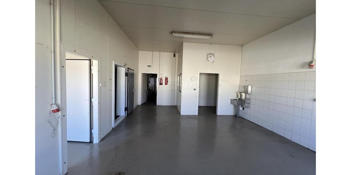 Warmhalle mit 8 Kühlzellen in Cottbus Merzdorf provisionsfrei zu zimmer