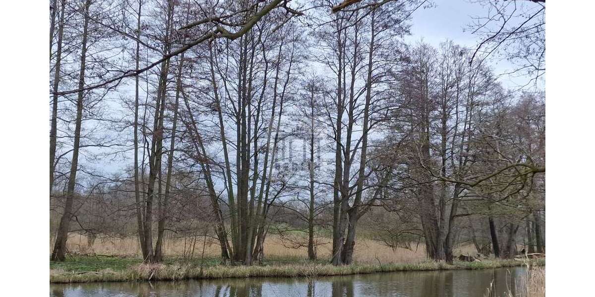 Grundstück Lehde Lehde - 15.000&euro; | Angebot:26064455