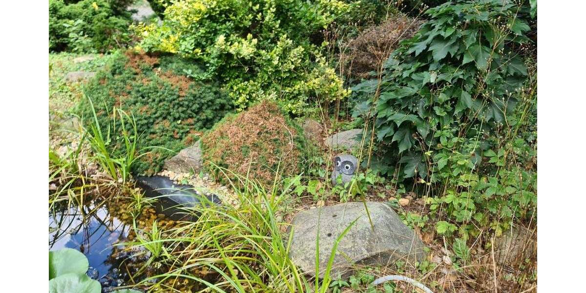 Einfamilienhaus Döbern - 4 Zimmer, 91 m&sup2;, 130.000&euro; | Angebot:25686285