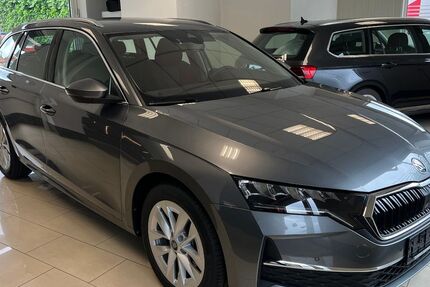 Skoda Octavia 6.666 km 31.250 &euro; Calau 03205