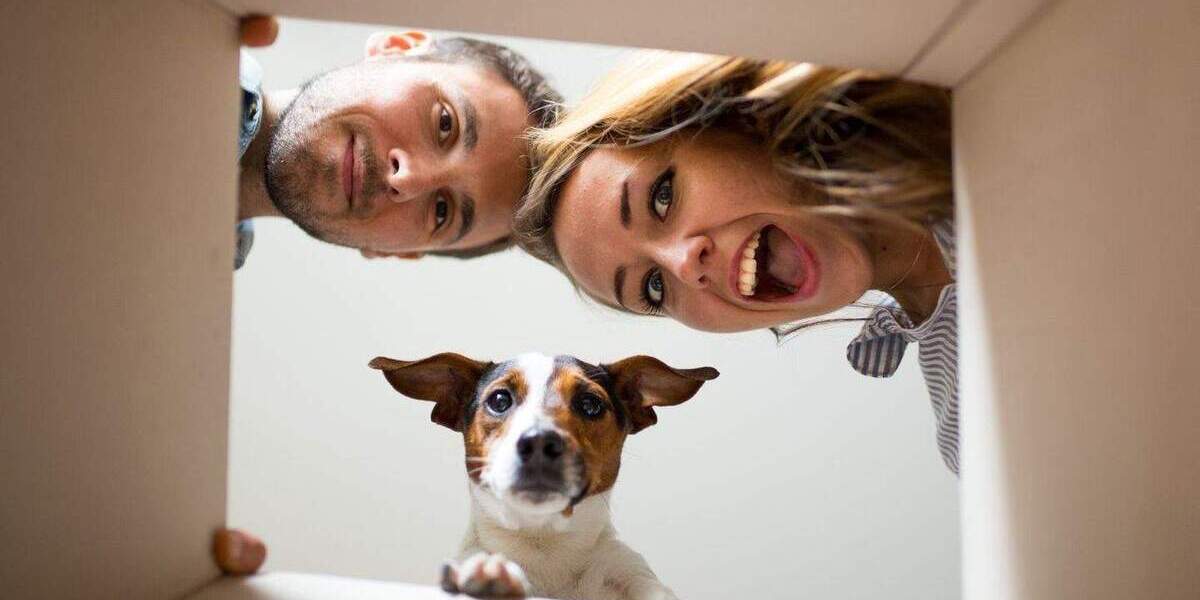 Mehrfamilienhaus, Wohnhaus Cottbus Kiekebusch - 6 Zimmer, 239 m&sup2;, 451.589&euro; | Angebot:24973523