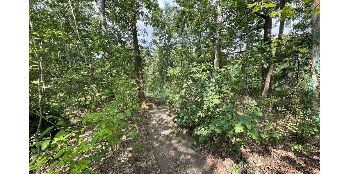 Grundstück Neiße-Malxetal Malxetal - 69.000&euro; | Angebot:23971271