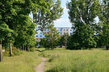 Hoch hinaus und den Ausblick genießen! 4 zimmer
