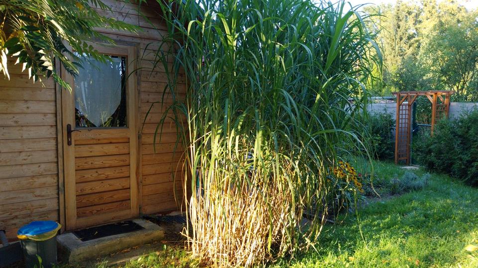 Bauernhaus, Landhaus Spremberg - 1 Zimmer, 50 m&sup2;, 60.000&euro; | Angebot:26279460