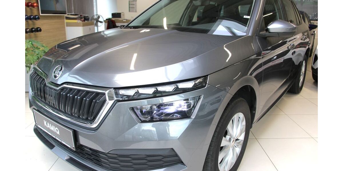 Skoda Kamiq 31.883 km 20.785 &euro; Forst 03149