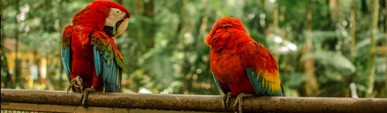 Tierpark Cottbus