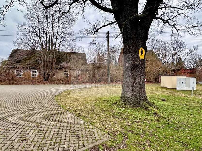 Grundstück zu verkaufen in Vetschau Missen 65.000 € 1791 m²