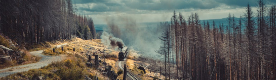 Parkeisenbahn Cottbus