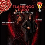 Flamenco Puro