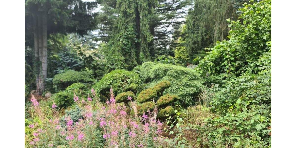 !!! Gebotsverfahren !!! Ehemaliger Schaugarten einer Baumschule möchte wiederbelebt werden! 4 zimmer