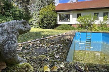 Frosch sucht Mitbewohner - Wer küsst mich wach? 5 zimmer