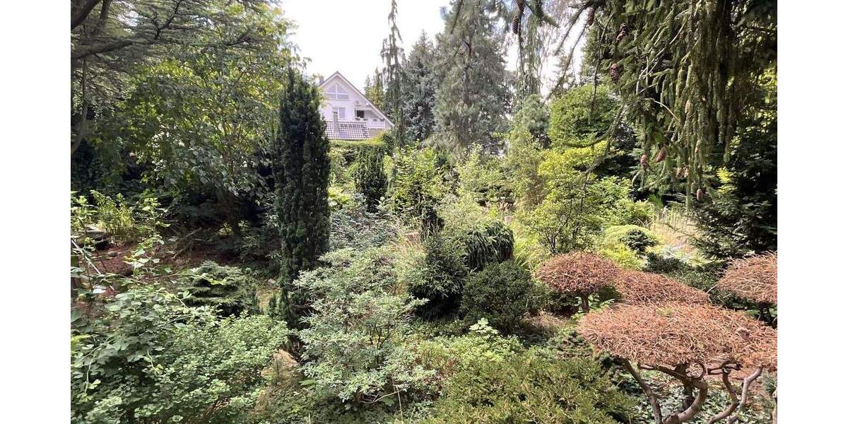 !!! Gebotsverfahren !!! Ehemaliger Schaugarten einer Baumschule möchte wiederbelebt werden! 4 zimmer