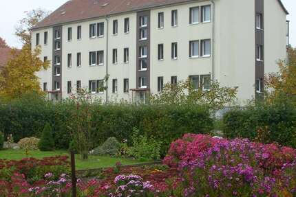 Wohnung Märkische Heide - 3 Zimmer, 57 m&sup2;, 291&euro; | Angebot:24736603