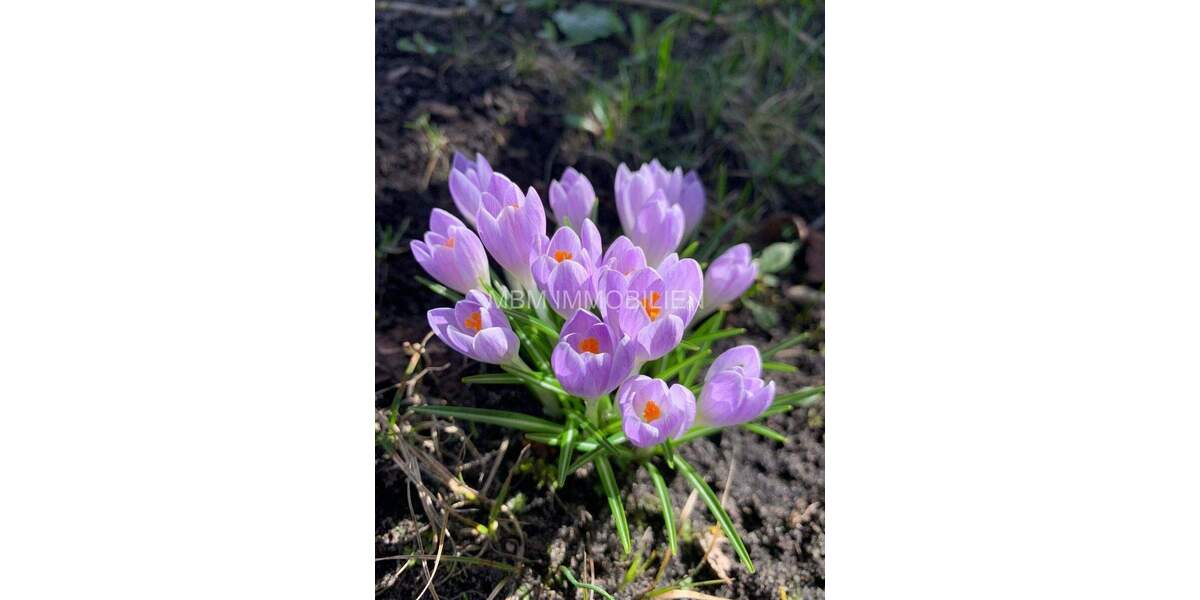 Einfamilienhaus Großräschen - 7 Zimmer, 222 m&sup2;, 174.900&euro; | Angebot:25818307