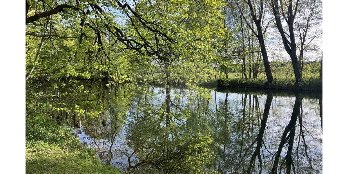Grundstück Neuhausen/Spree Neuhausen - 50.000&euro; | Angebot:26556179
