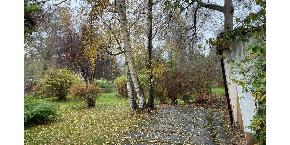 Grundstück Forst (Lausitz) Forst-Stadt - 59.000&euro; | Angebot:26117411