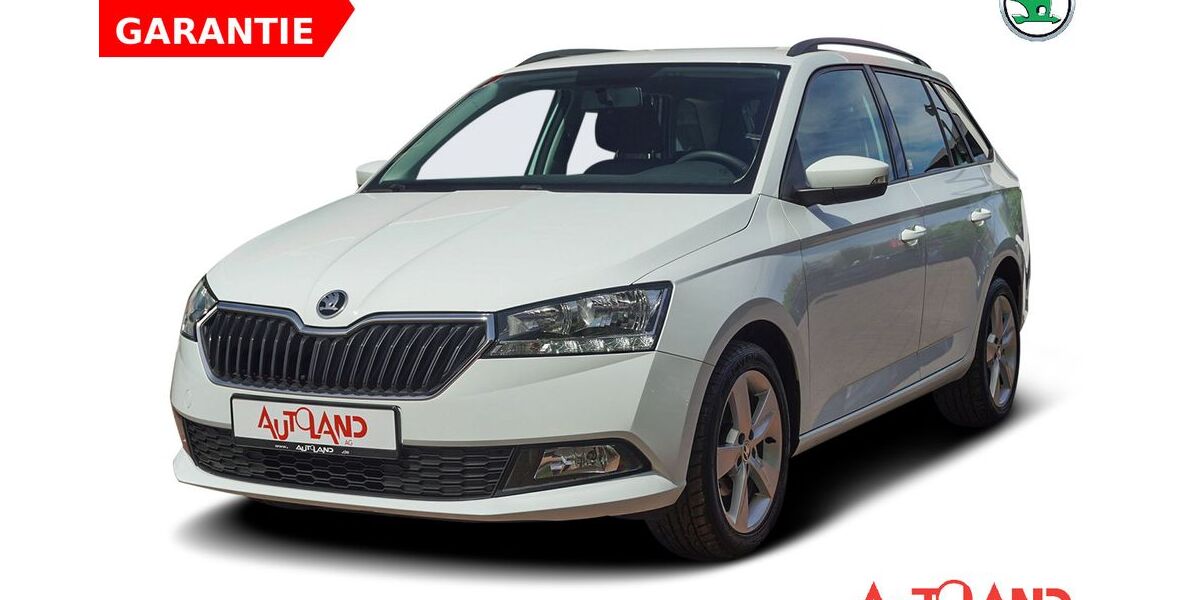 Skoda Fabia 109.987 km 10.990 &euro; Cottbus OT Kolkwitz 03099