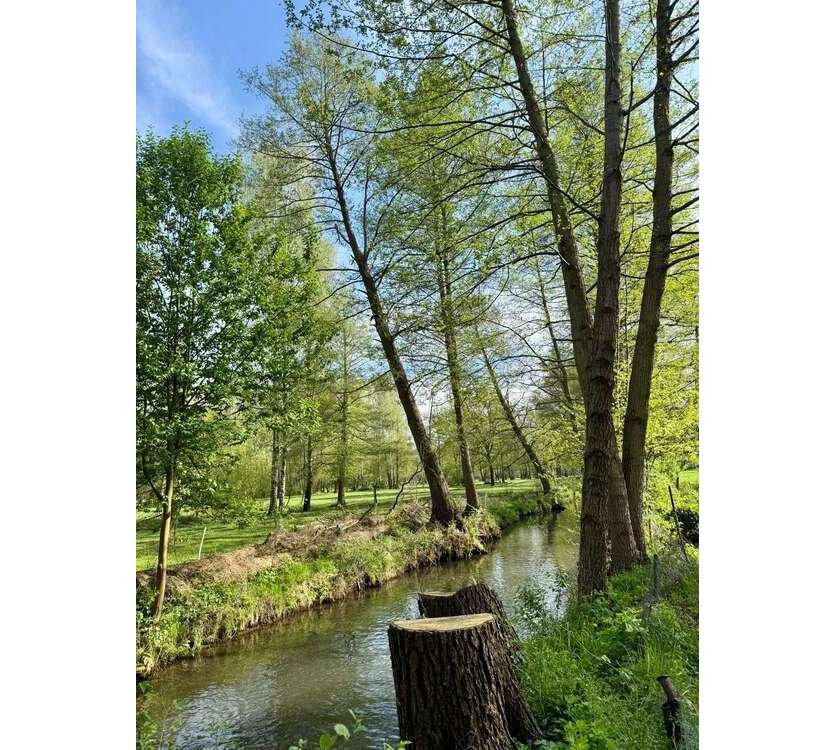 Haus zum Kaufen in Burg 420.000 € 123 m²