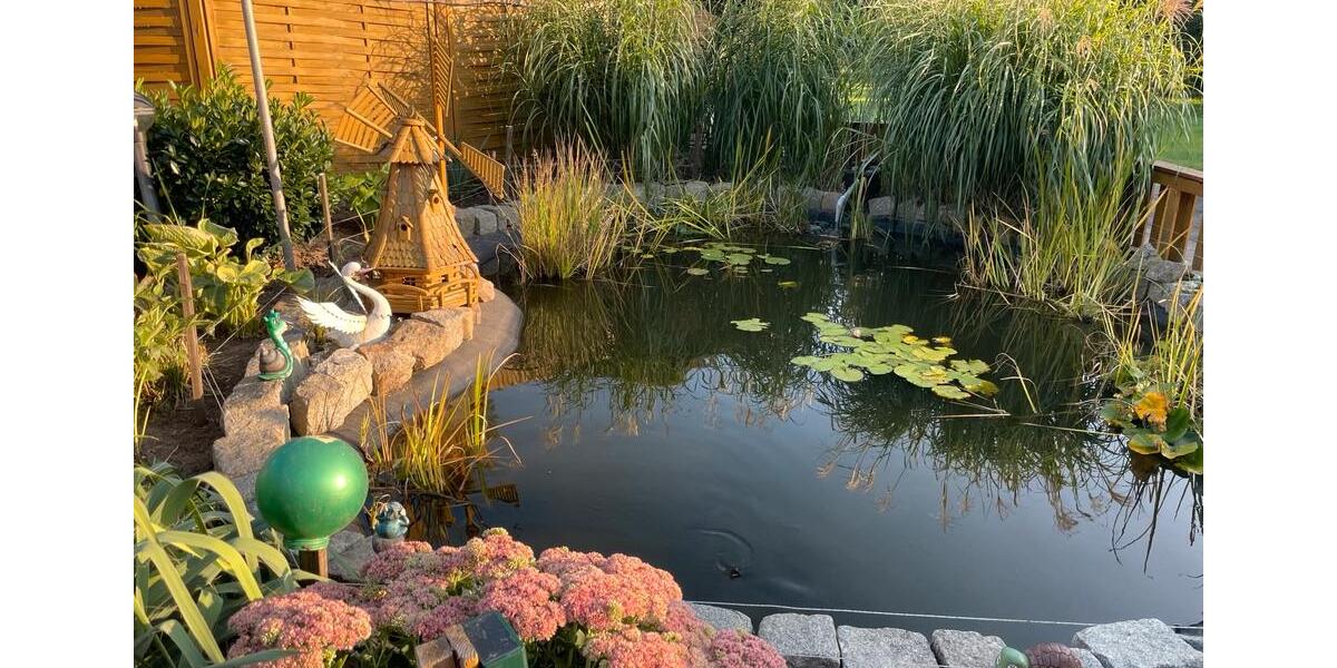 Mehrfamilienhaus, Wohnhaus Cottbus Brunschwig - 12 Zimmer, 430 m&sup2;, 460.000&euro; | Angebot:25126866