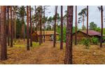 Ruhig gelegener Bungalow am See inmitten der Natur zu vermieten