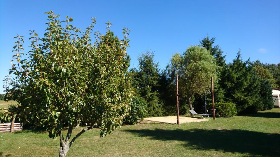 Einfamilienhaus Cottbus Sielow - 5 Zimmer, 167 m&sup2;, 353.000&euro; | Angebot:26069062