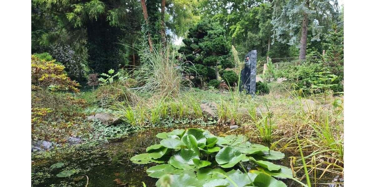 !!! Gebotsverfahren !!! Ehemaliger Schaugarten einer Baumschule möchte wiederbelebt werden! 4 zimmer