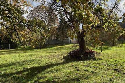 Grundstück Kolkwitz - 75.000&euro; | Angebot:23336942