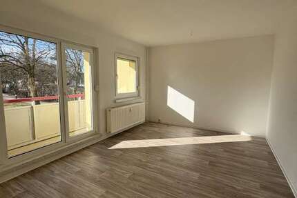 Wohnung Cottbus Sachsendorf - 1 Zimmer, 39 m&sup2;, 315&euro; | Angebot:25266288