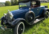 Gebrauchtwagen Ford Andere