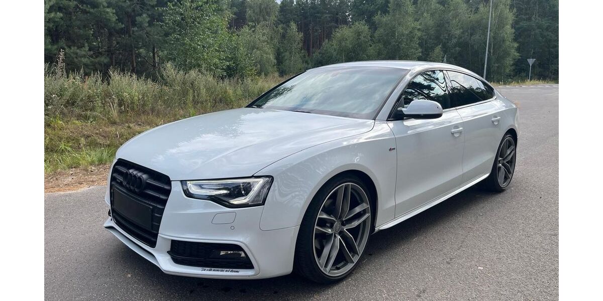 Audi A5 119.480 km 19.488 &euro; Cottbus 03044