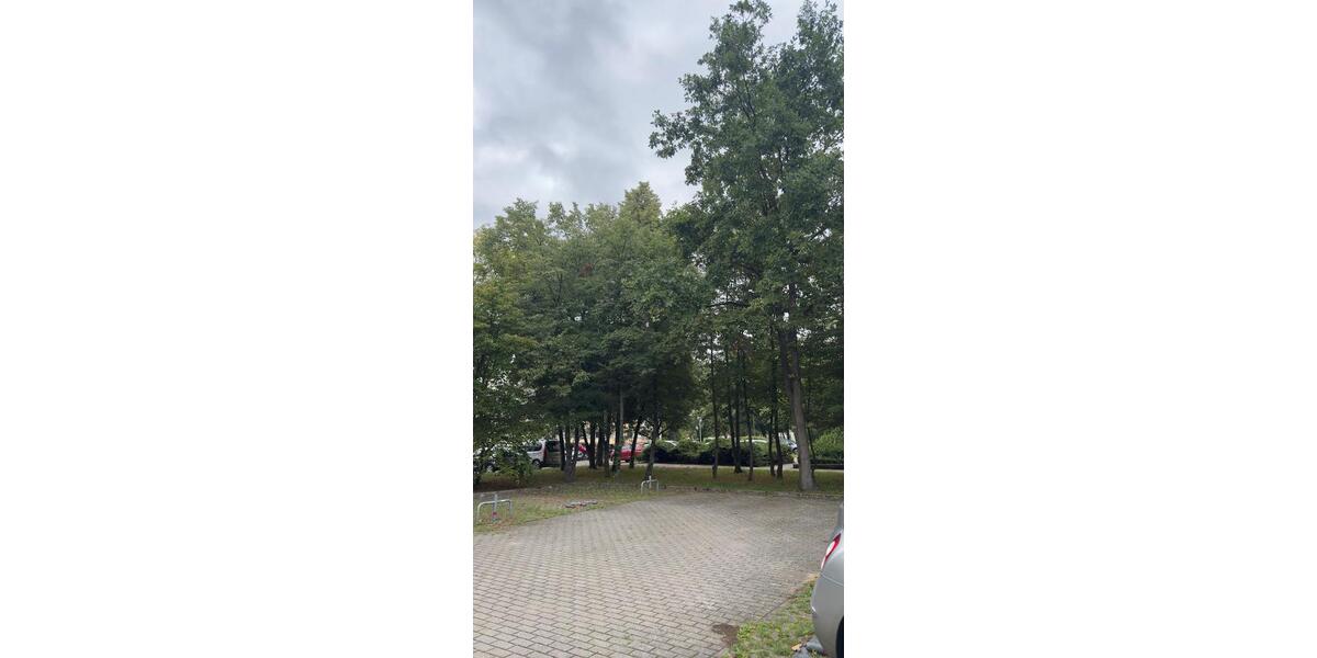 Garagen / Stellplätze Cottbus - 20&euro; | Angebot:22092062