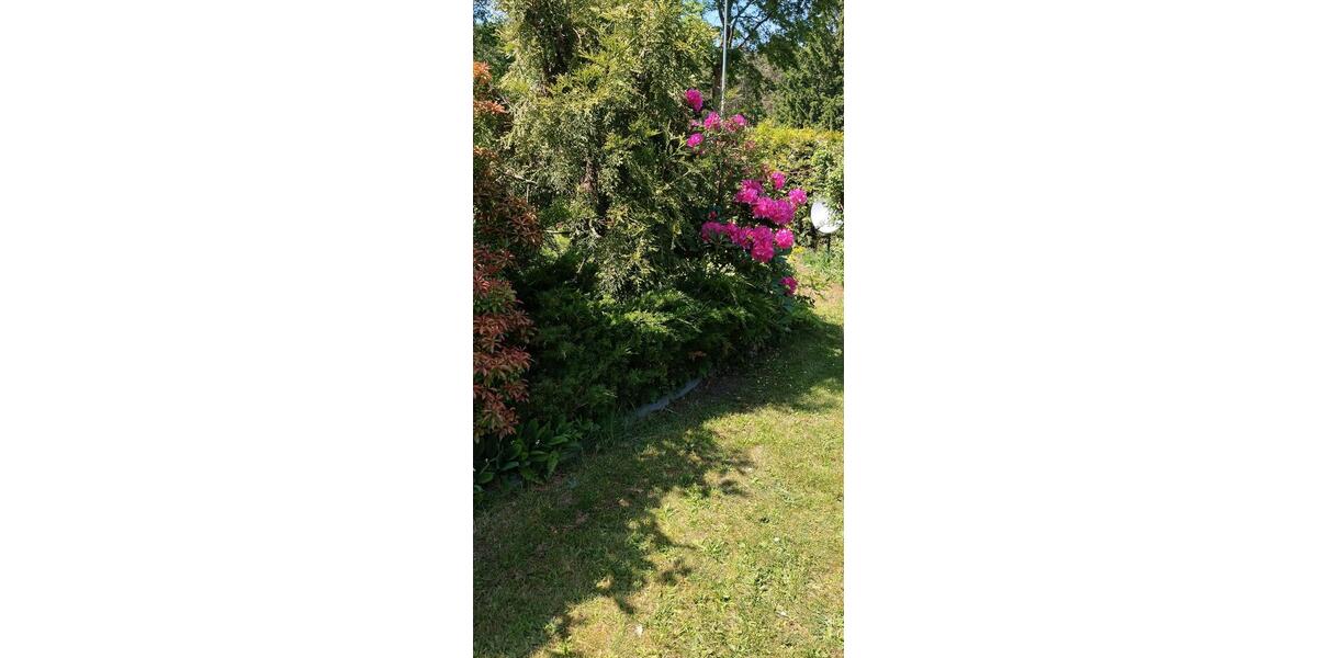 Bungalow Spremberg - 1 Zimmer, 40 m&sup2;, 55.000&euro; | Angebot:26857756